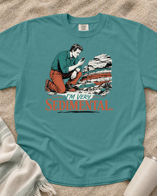 Seafoam Comfort Colors 1717 tee with I'm Very Sedimental graphic.