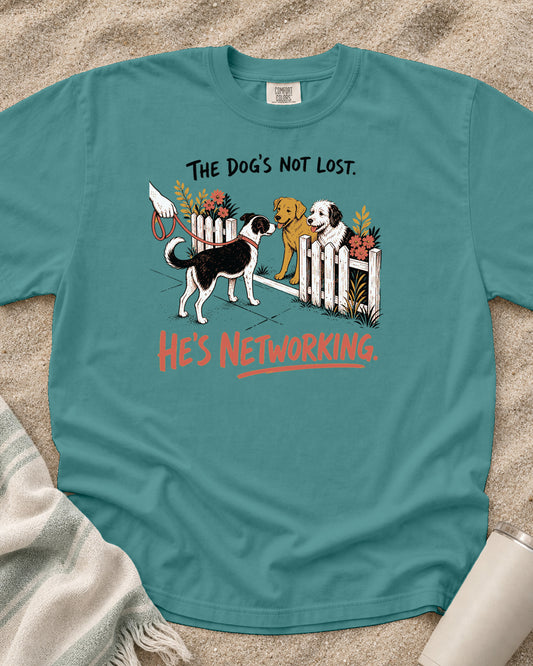 Seafoam Comfort Colors 1717 tee with The Dog's Not Lost. He's Networking graphic.