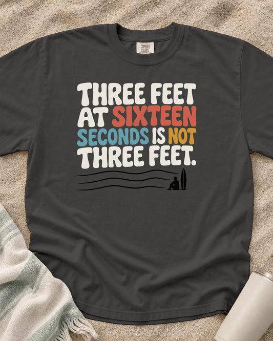 Pepper Comfort Colors 1717 tee with Three Feet at Sixteen Seconds Is Not Three Feet graphic.