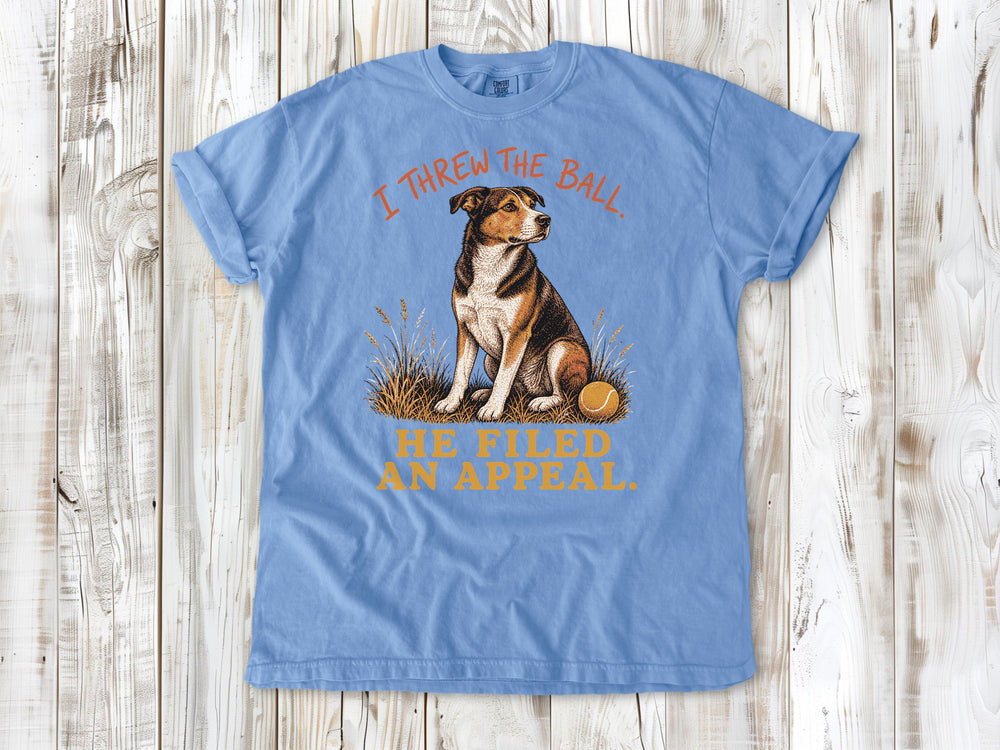 I Threw the Ball. He Filed an Appeal. Tee