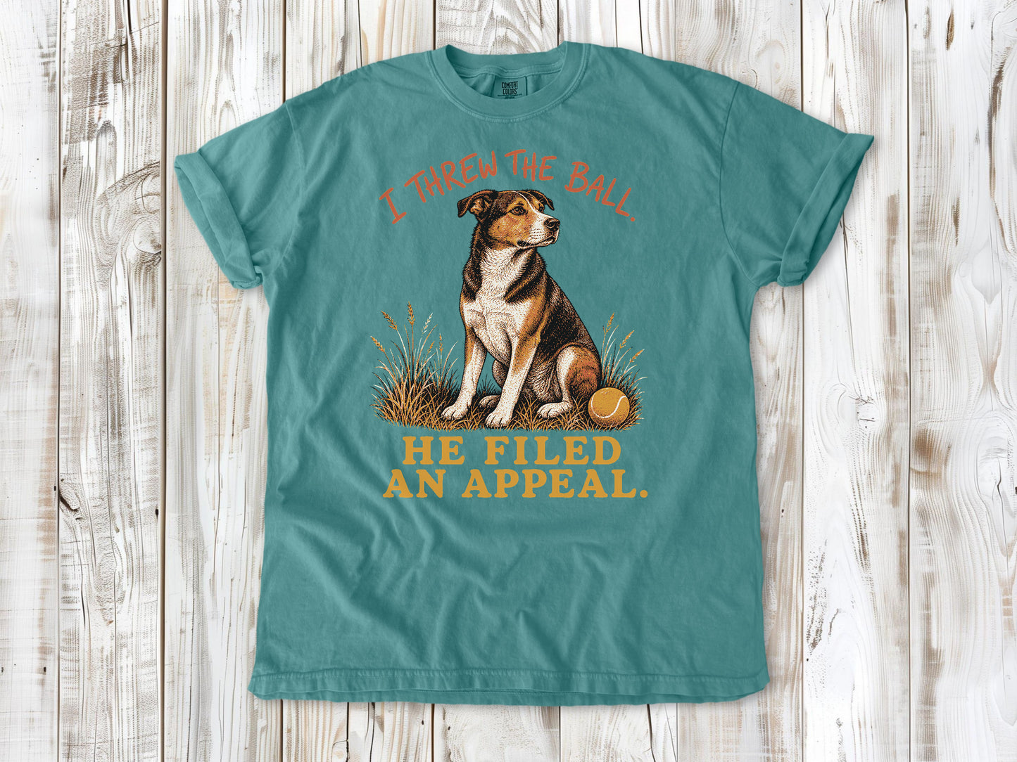I Threw the Ball. He Filed an Appeal. Tee