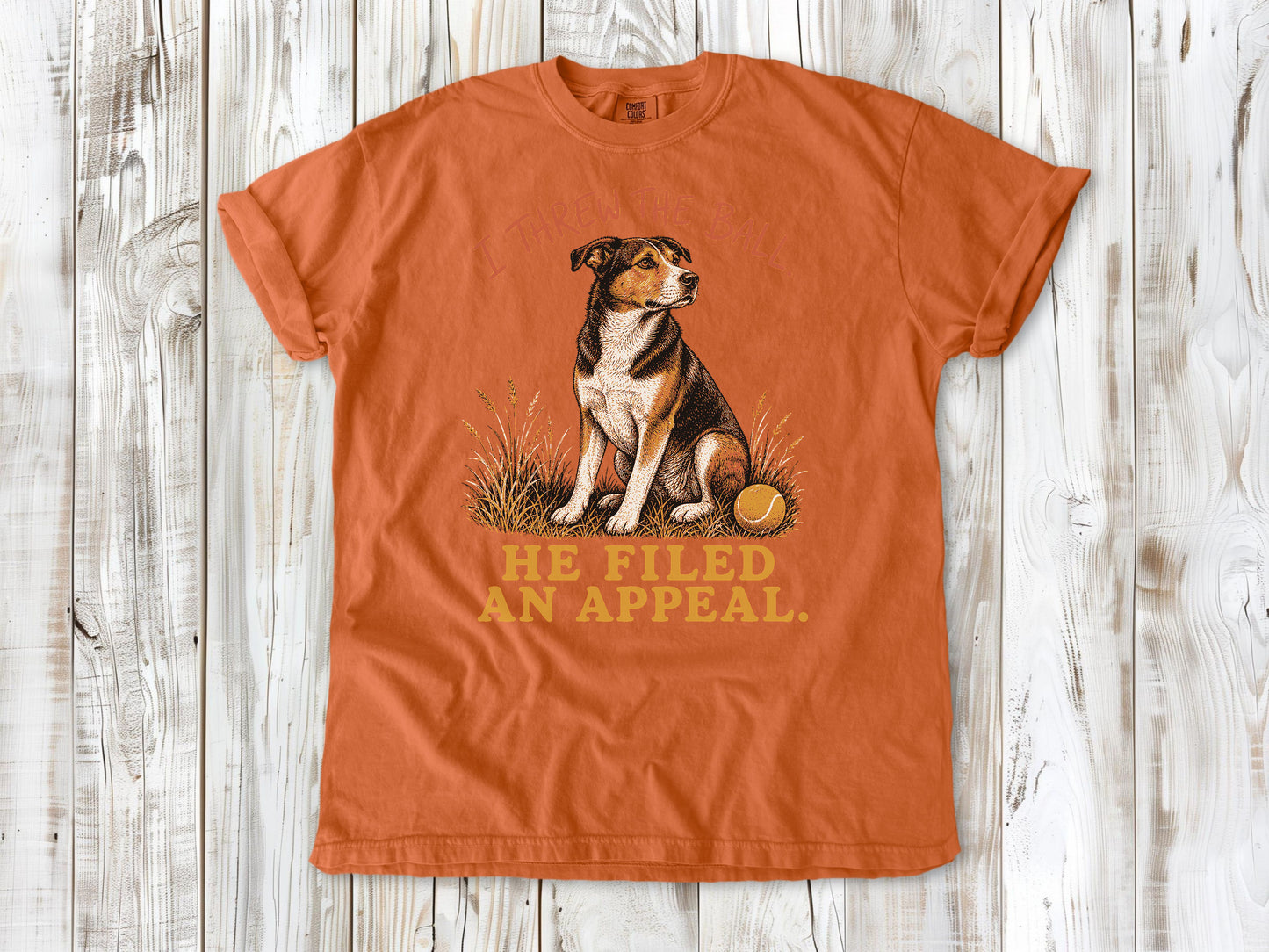 I Threw the Ball. He Filed an Appeal. Tee