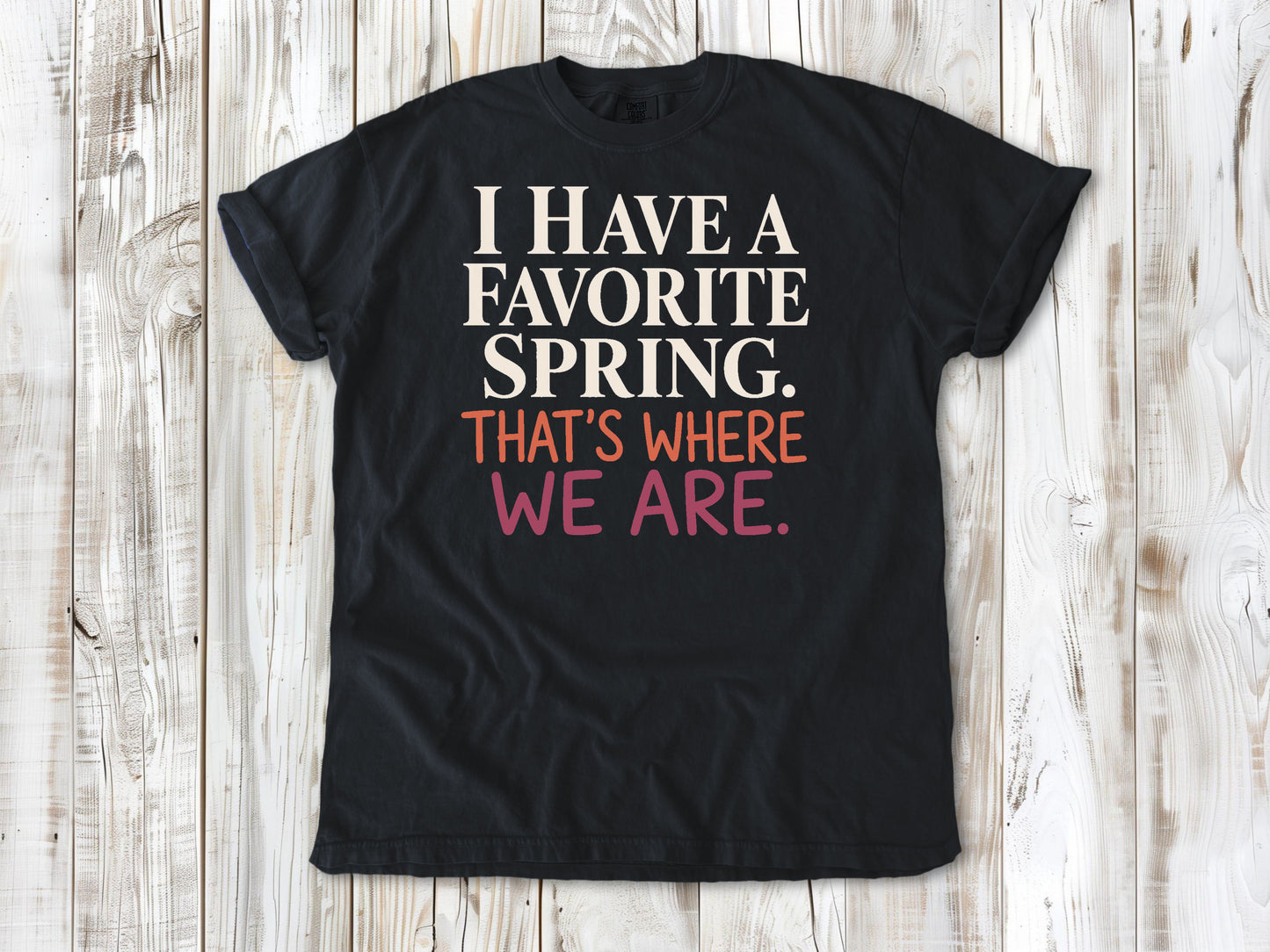 Graphite garment-dyed tee with I Have a Favorite Spring reformer Pilates graphic.