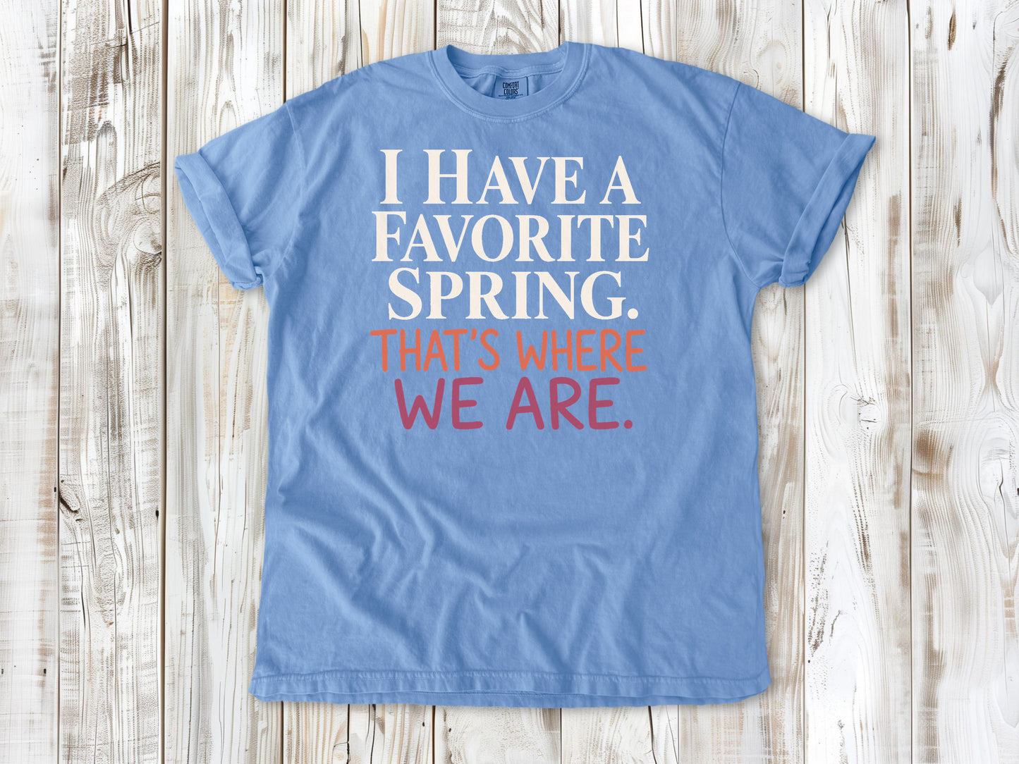 Washed Denim garment-dyed tee with I Have a Favorite Spring reformer Pilates graphic.