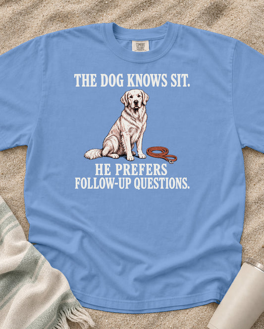 Washed Denim Comfort Colors 1717 tee with The Dog Knows Sit. He Prefers Follow-Up Questions graphic.