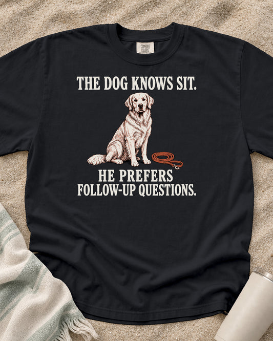 Graphite Comfort Colors 1717 tee with The Dog Knows Sit. He Prefers Follow-Up Questions graphic.